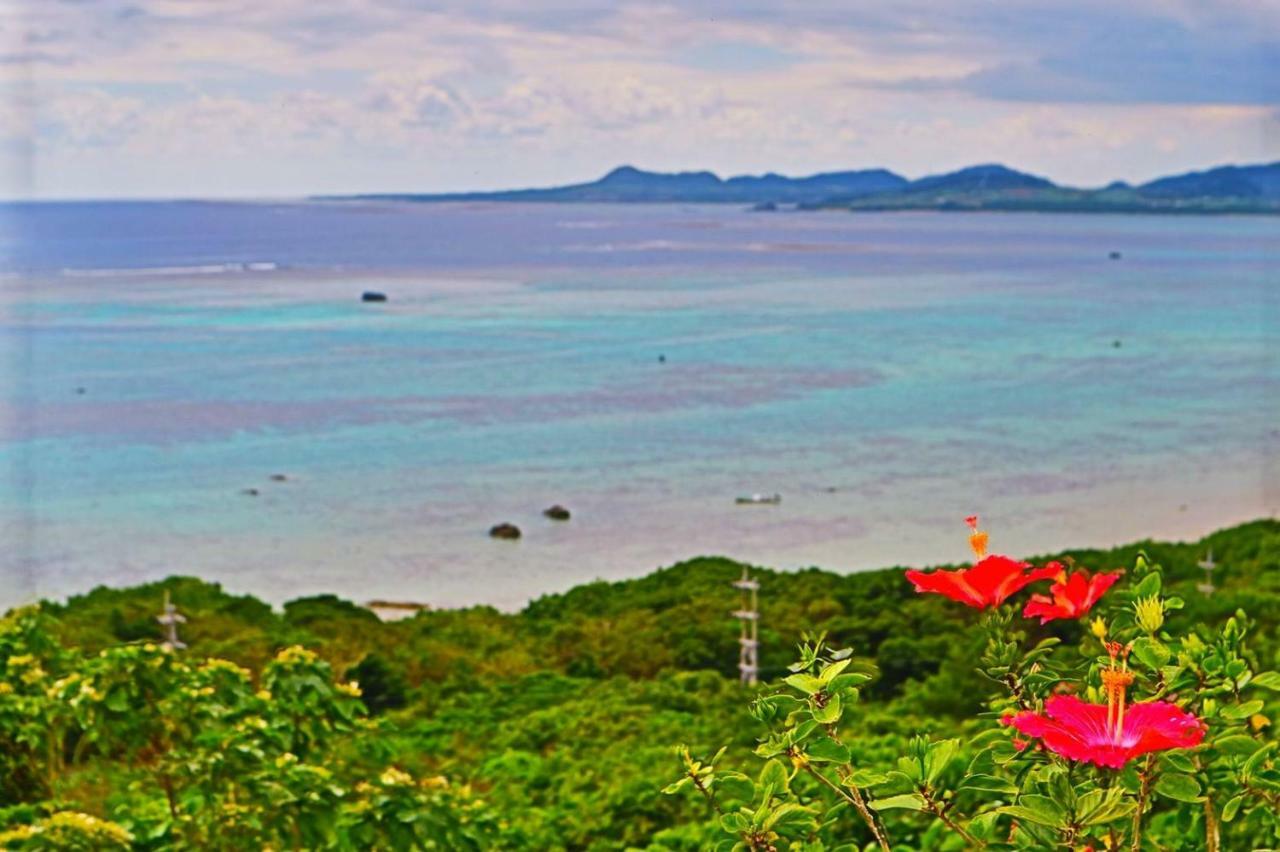 Little Mermaid Hotel Ishigakijima Ishigaki  Exteriér fotografie